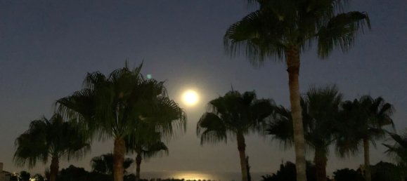 3 bedrooms Apartment in Marbella, Spain No. 136496 24