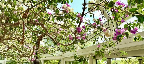 4 bedrooms Townhouse in Monchengladbach, Germany No. 266764 7