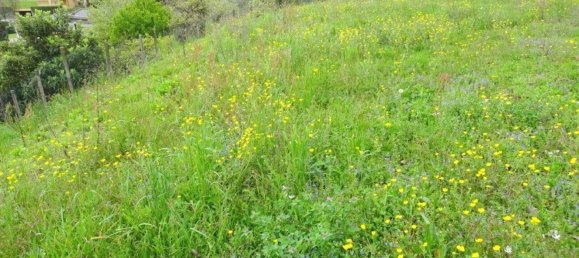 Terreno em Oggiono, Italy 3700 m² N.º 82299 10