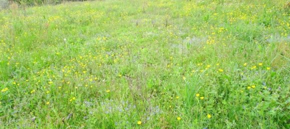 Terreno em Oggiono, Italy 3700 m² N.º 82299 6