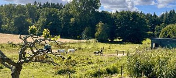 2 rooms House in Rostock, Germany No. 305070 3