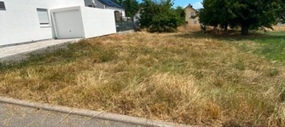 Land in Pforzheim, Germany No. 261644 3