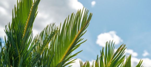 3-Zimmer Penthouse in Riccione, Italy, Nr. 236837 47