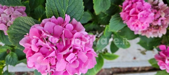 3 Schlafzimmer Villa in Lesignano de' Bagni, Italy, Nr. 308577 3