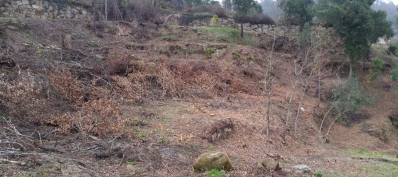 Grundstück in Marco de Canaveses, Portugal, Nr. 59362 4