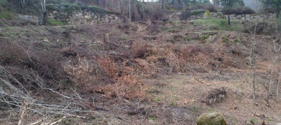 Grundstück in Marco de Canaveses, Portugal, Nr. 59362 3