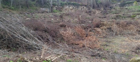 Grundstück in Marco de Canaveses, Portugal, Nr. 59362 5