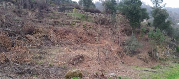 Grundstück in Marco de Canaveses, Portugal, Nr. 59362 6