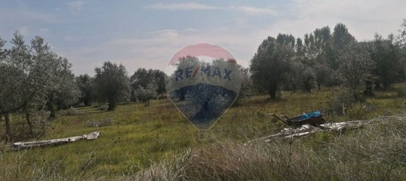 3164m² Land in Vacarica, Portugal No. 70456 3