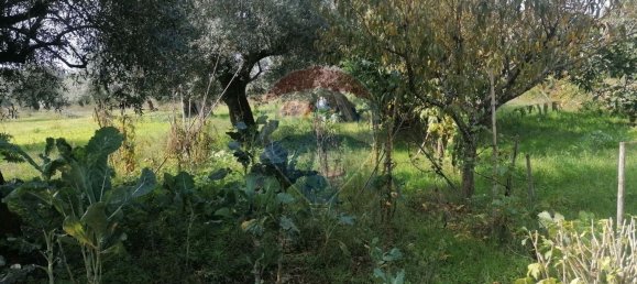 3164m² Land in Vacarica, Portugal No. 70456 5