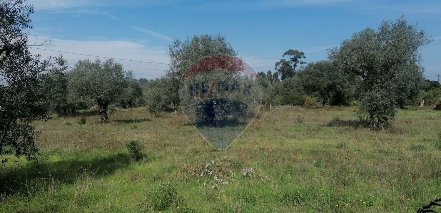 3164m² Land in Vacarica, Portugal No. 70456