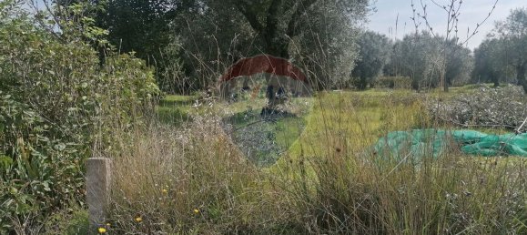 3164m² Land in Vacarica, Portugal No. 70456 7