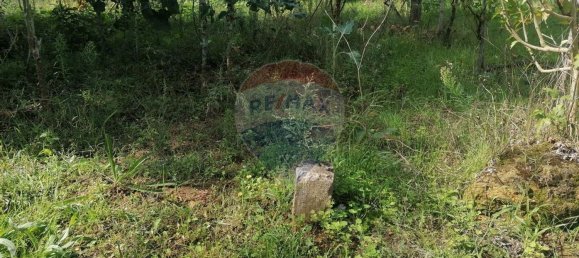 3164m² Land in Vacarica, Portugal No. 70456 8