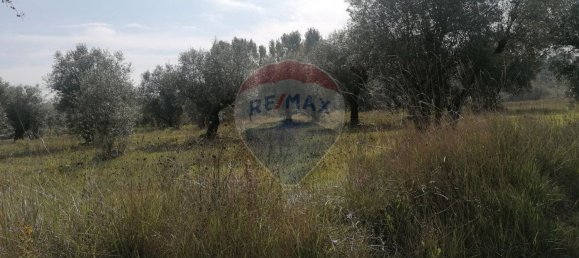 3164m² Land in Vacarica, Portugal No. 70456 2