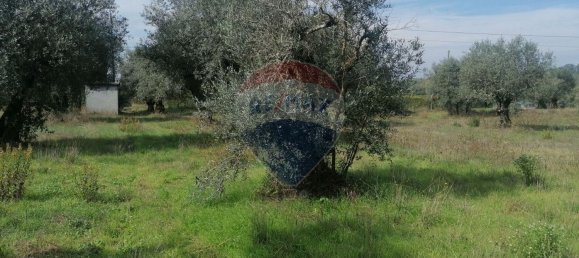 3164m² Land in Vacarica, Portugal No. 70456 4