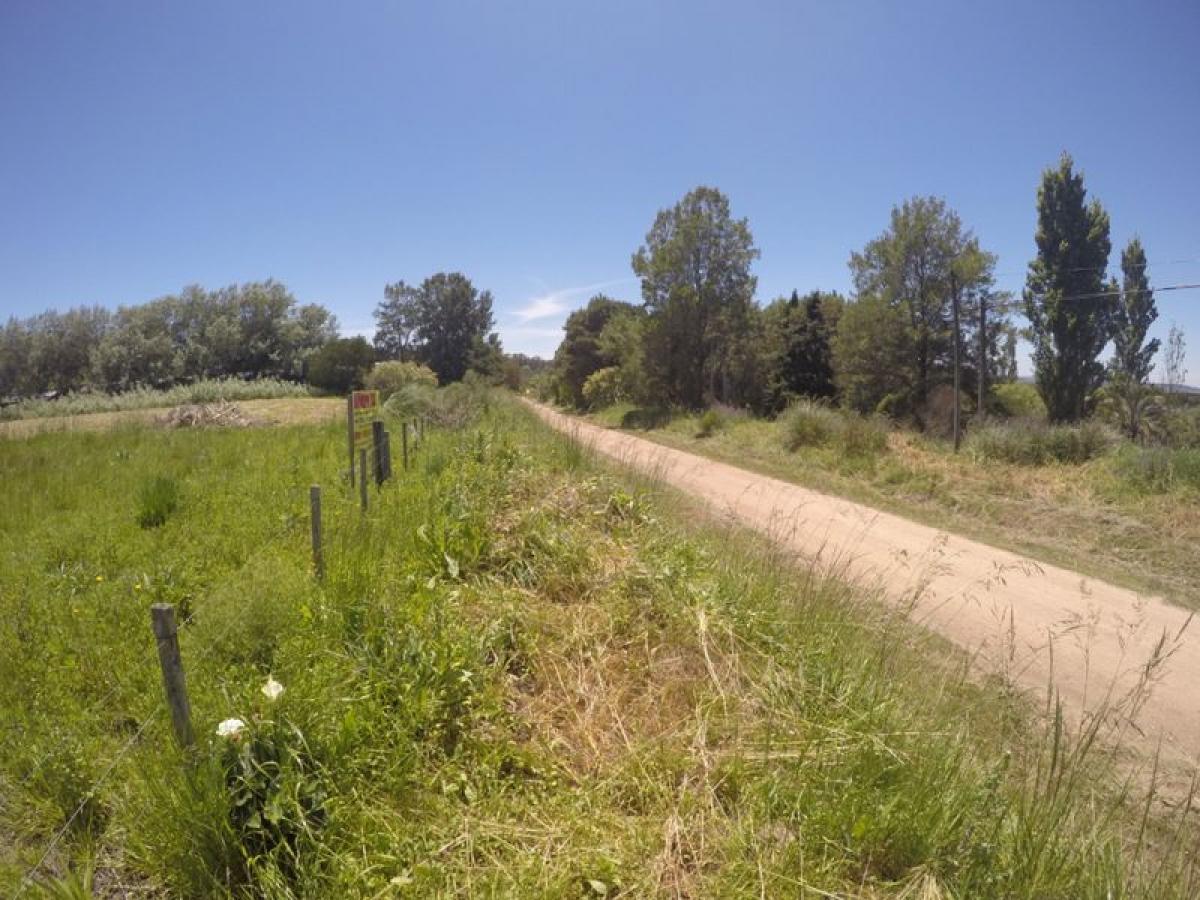 Grundstück in Maldonado, Uruguay, Nr. 14395