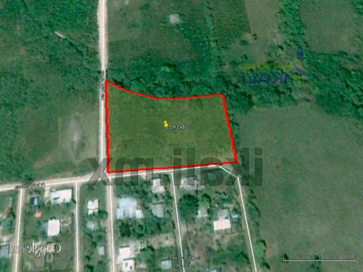  Land in Veracruz, Mexico No. 205501