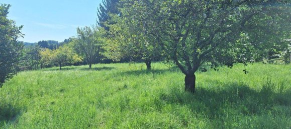 Land in Allerheiligen bei Wildon, Austria No. 227789 6