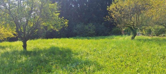 Land in Allerheiligen bei Wildon, Austria No. 227789 4