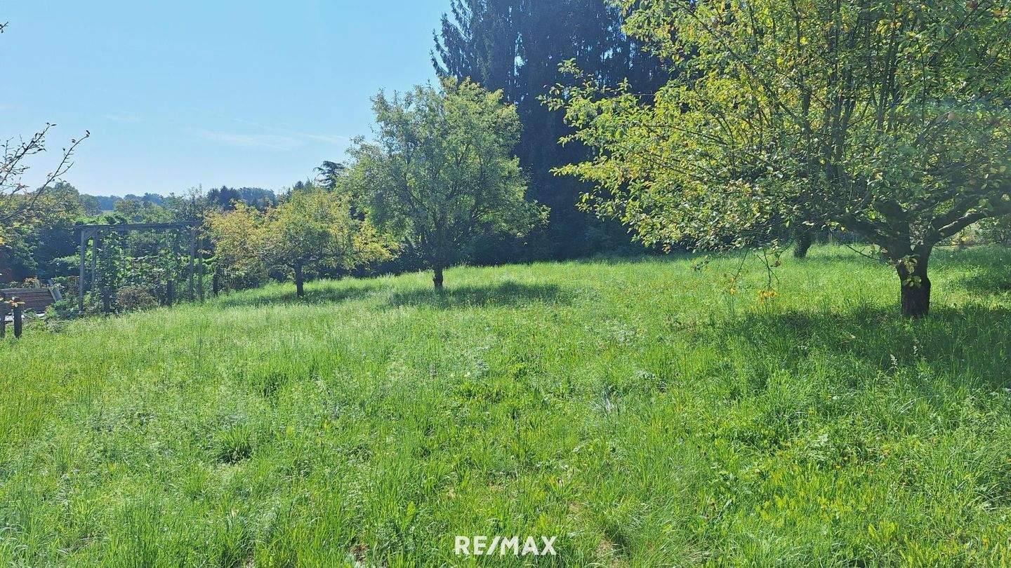  Land in Allerheiligen bei Wildon, Austria No. 227789