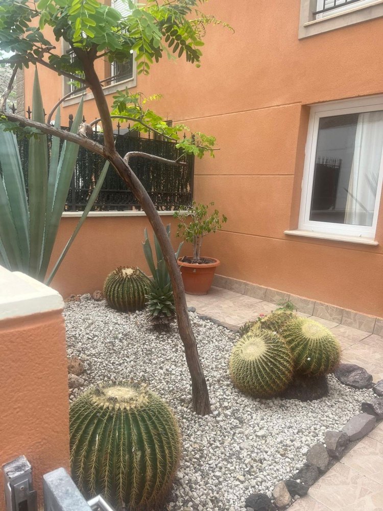 2 bedrooms House in Adeje, Spain No. 152010