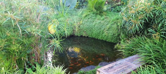 6 bedrooms Villa in Tamarin, Mauritius No. 218 8