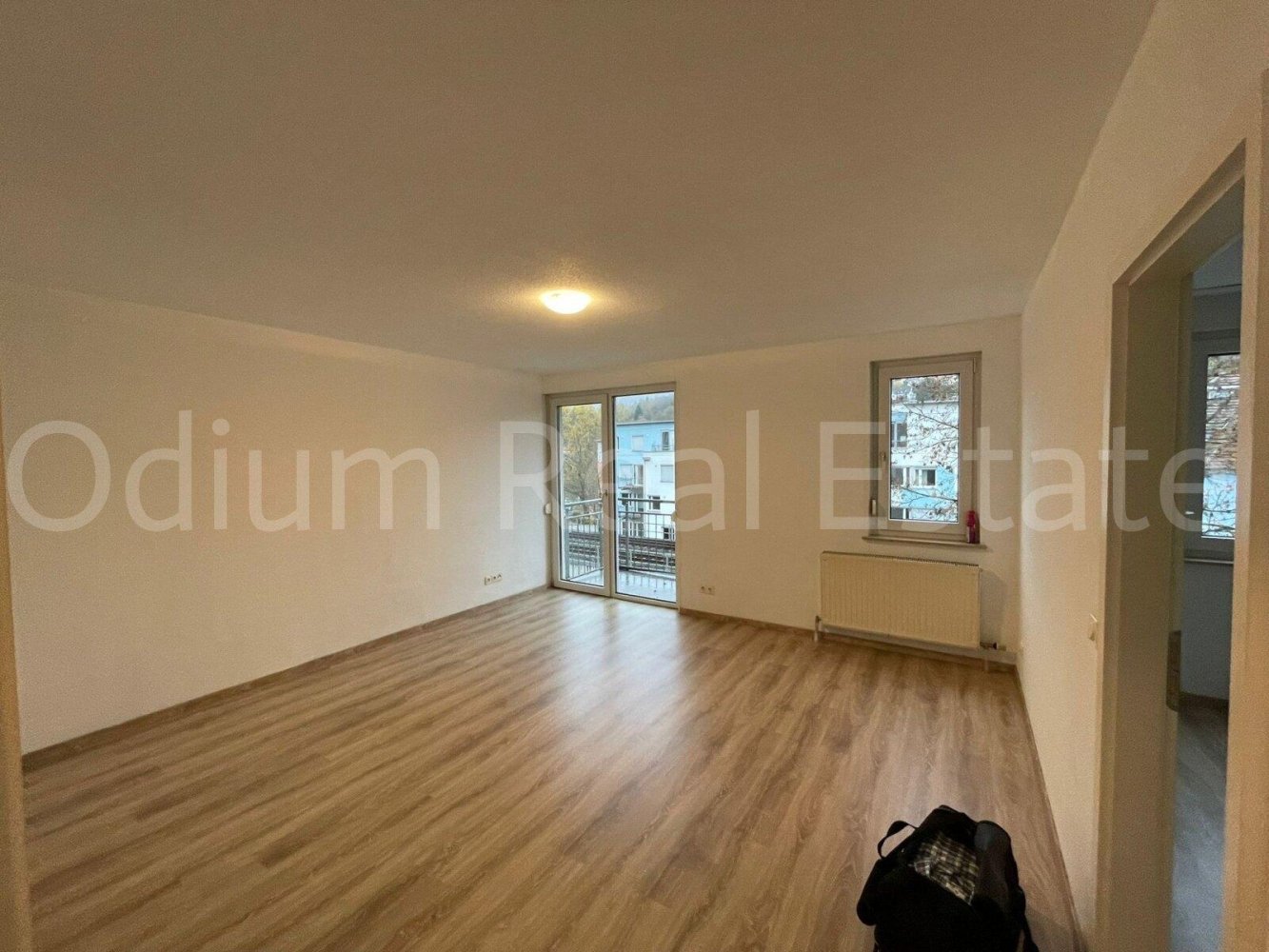 1 bedroom Apartment in Heidelberg, Germany No. 313077