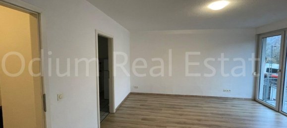1 bedroom Apartment in Heidelberg, Germany No. 313077 3