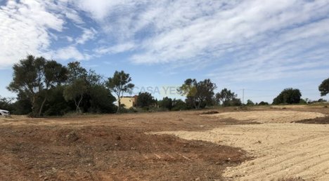 6467m² Land in Almancil, Portugal No. 146692