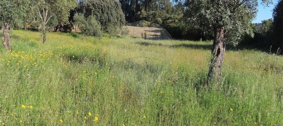 9 bedrooms House in Orca, Portugal No. 82899 16