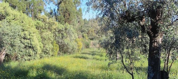 9 bedrooms House in Orca, Portugal No. 82899 8