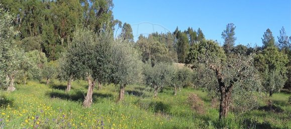 9 bedrooms House in Orca, Portugal No. 82899 11