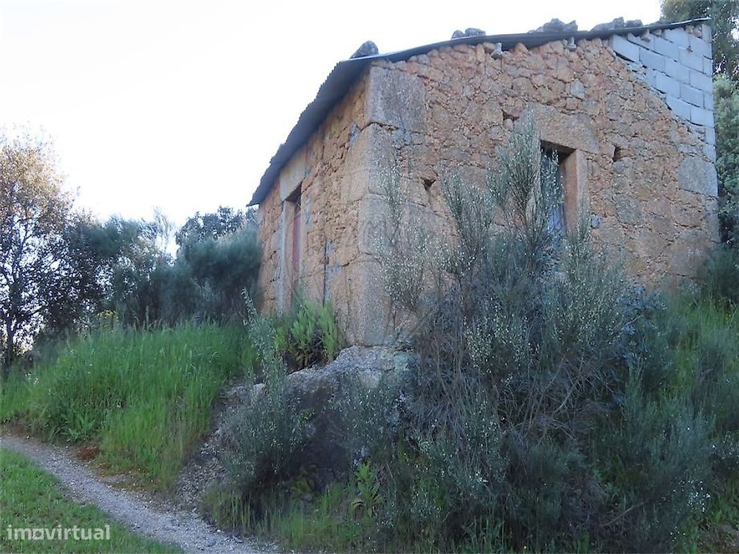 9 bedrooms House in Orca, Portugal No. 82899