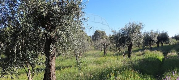 9 bedrooms House in Orca, Portugal No. 82899 9