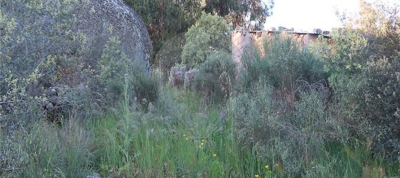 9 bedrooms House in Orca, Portugal No. 82899 5