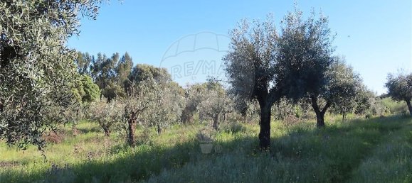 9 bedrooms House in Orca, Portugal No. 82899 12