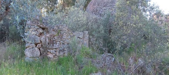 9 bedrooms House in Orca, Portugal No. 82899 7