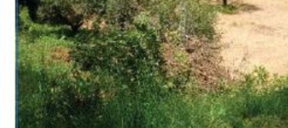 7-salle Appartement à Orte, Italy No. 199696 15