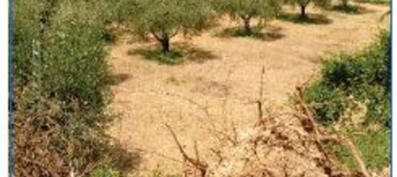 7-salle Appartement à Orte, Italy No. 199696 14