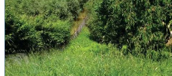 7-salle Appartement à Orte, Italy No. 199696 26