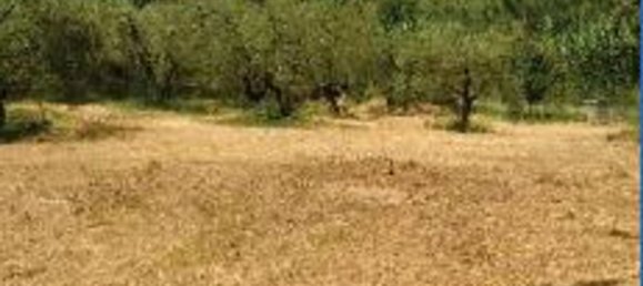 7-salle Appartement à Orte, Italy No. 199696 9