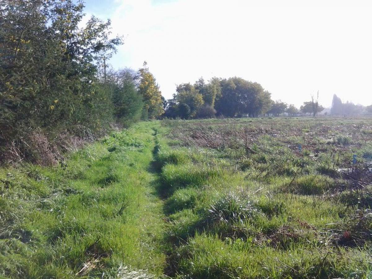  قطعة أرض في Biobio, Chile رقم 920