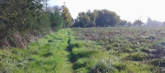  قطعة أرض في Biobio, Chile رقم 920 2