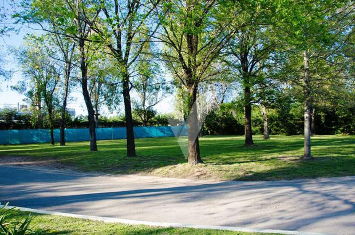  Land in Moreno, Argentina No. 40001