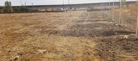 Grundstück in Grijota, Spain 2290m², Nr. 75061 4