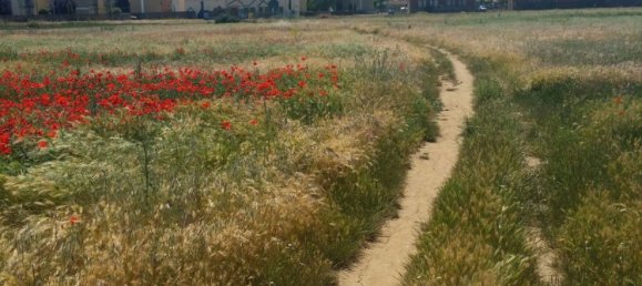 2366m² Land in San Andres del Rabanedo, Spain No. 84789 3