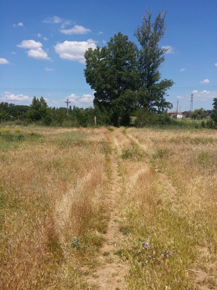 2366m² Land in San Andres del Rabanedo, Spain No. 84789