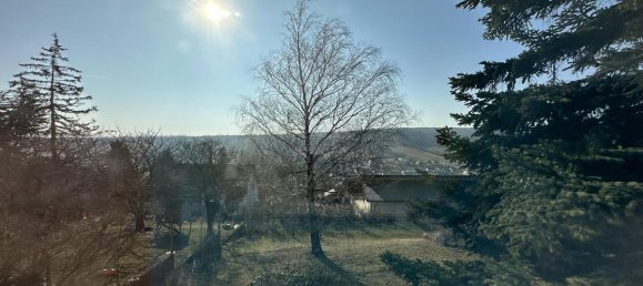 Casa de 5 habitaciónes en Vienna, Austria No. 69029 12