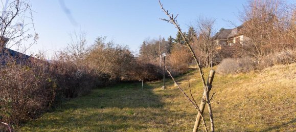 Casa de 5 habitaciónes en Vienna, Austria No. 69029 20