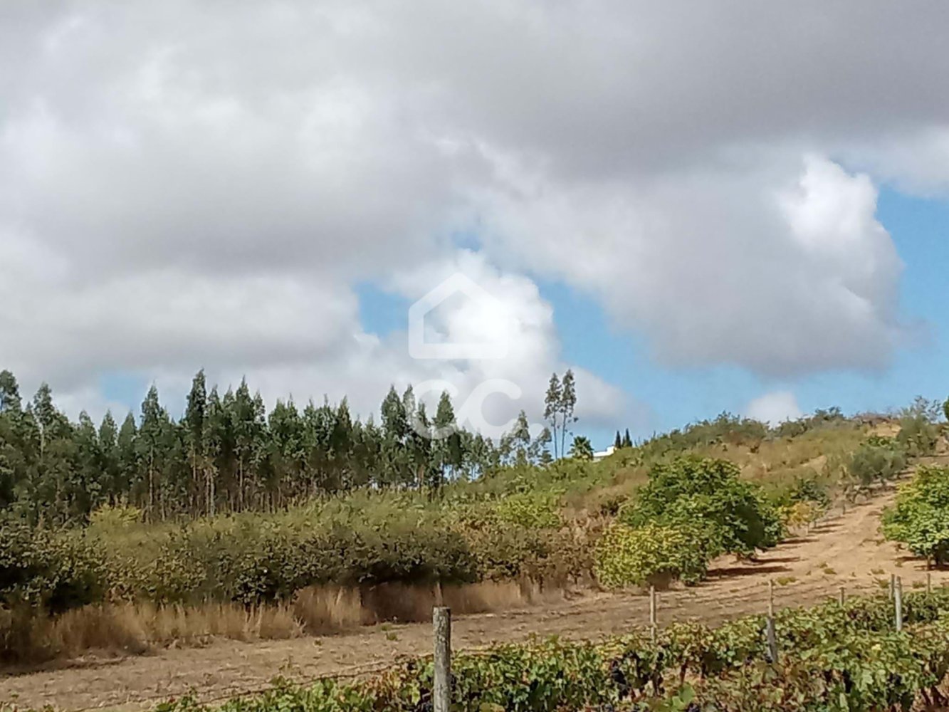 16960m² Land in Bombarral, Portugal No. 306825